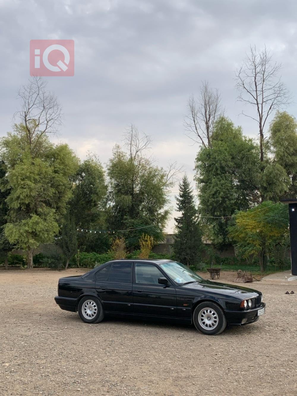 بي ام دبليو الفئة 5